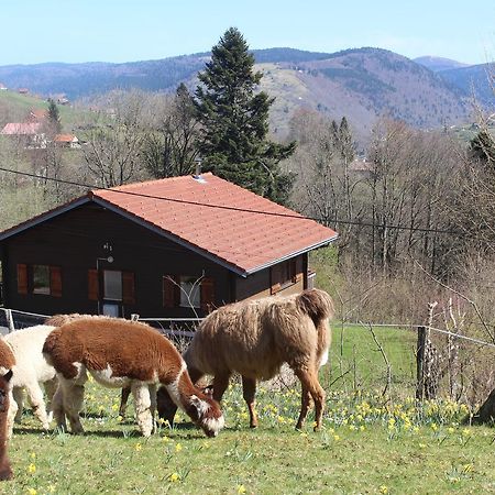 Chalet Les Bouleaux, la montagne des lamas La Bresse Extérieur photo