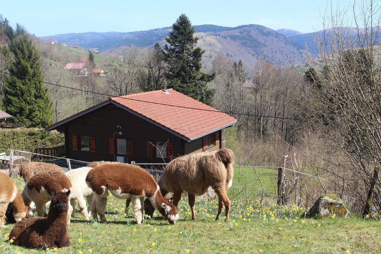 Chalet Les Bouleaux, la montagne des lamas La Bresse Extérieur photo