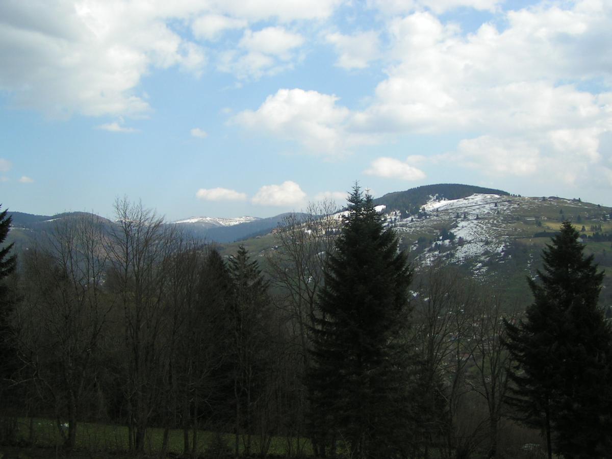 Chalet Les Bouleaux, la montagne des lamas La Bresse Extérieur photo