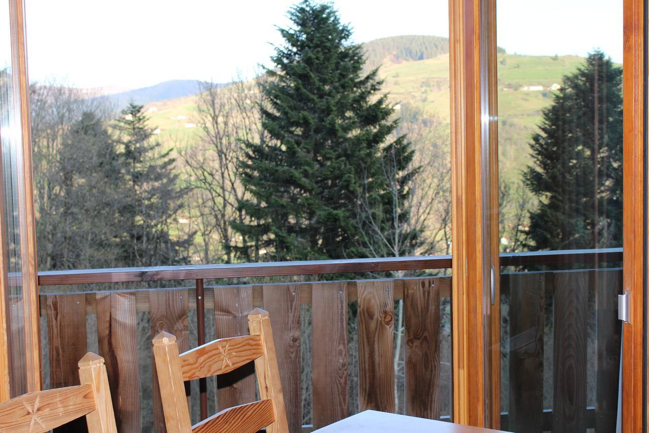 Chalet Les Bouleaux, la montagne des lamas La Bresse Extérieur photo