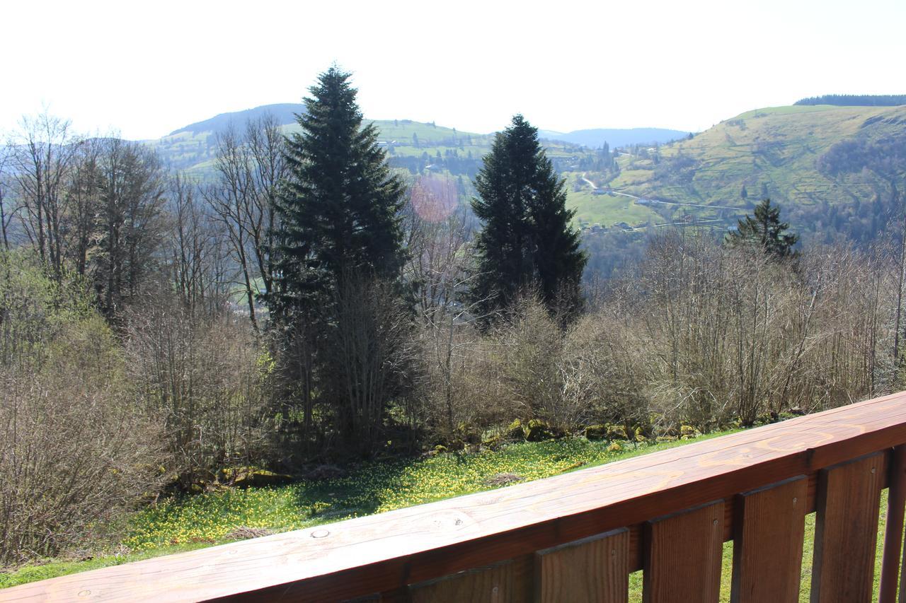 Chalet Les Bouleaux, la montagne des lamas La Bresse Extérieur photo
